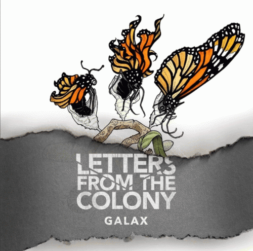 Letters From The Colony : Galax (Single)